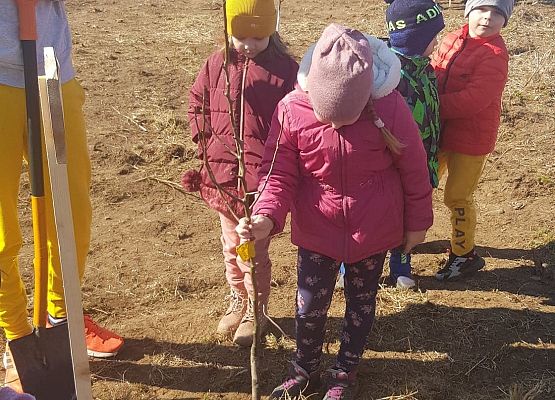 Dzieci sadzą drzewko