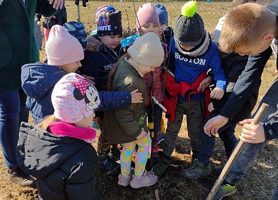 Dzieci sadzą drzewko