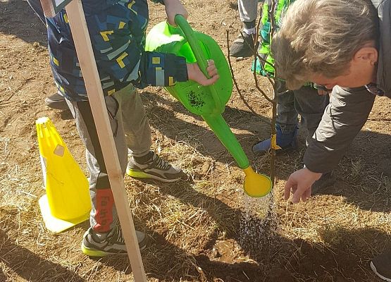 Dzieci podlewają drzewko