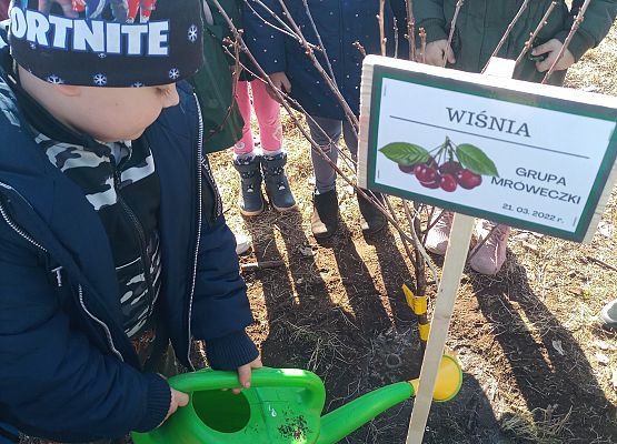 Dzieci podlewają drzewko