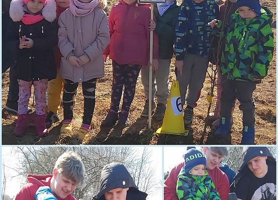 Przedszkolaki z grupy Jeżyki sadzą swoje drzewko.