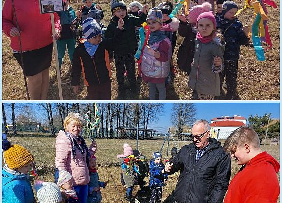 Przedszkolaki z grupy Pszczółki sadzą swoje drzewko.