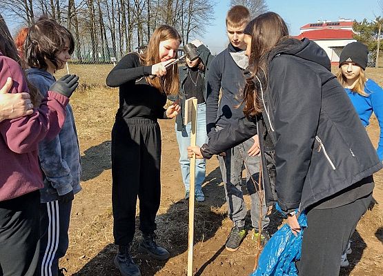 Uczennica wbija tabliczkę z nazwą drzewka.j
