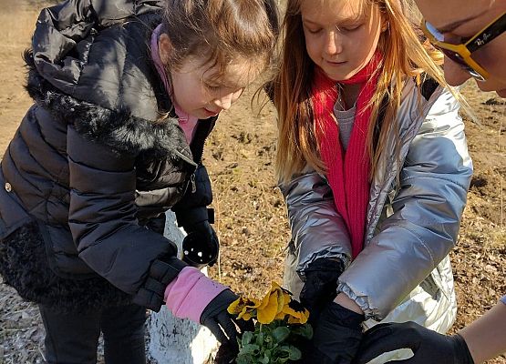 Uczennice sadzą kwiaty