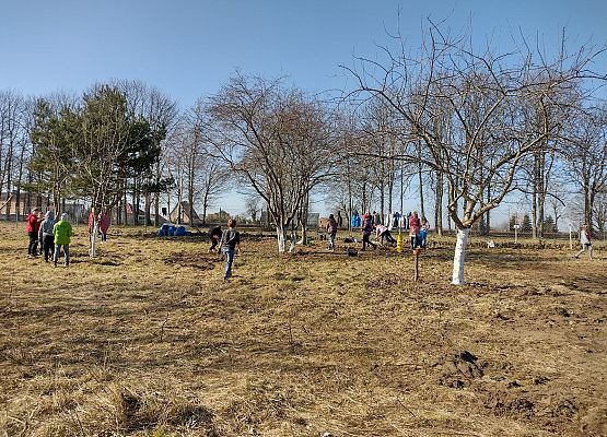 Uczniowie porządkują sad