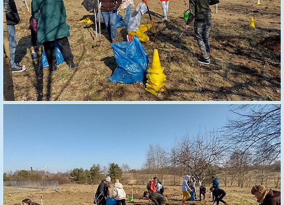 Uczniowie porządkują sad