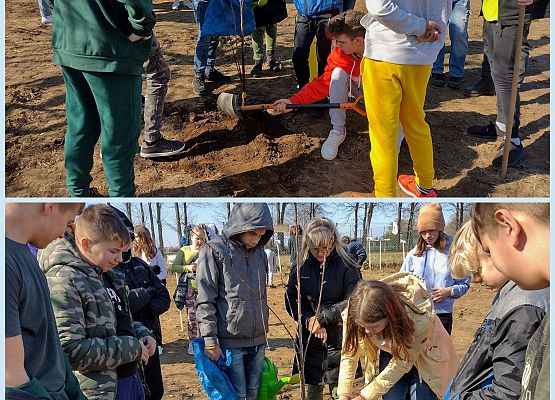 Uczniowie sadza drzewko