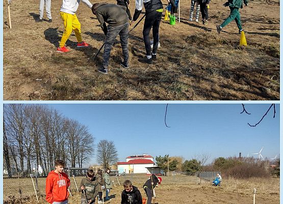 Uczniowie porządkują sad