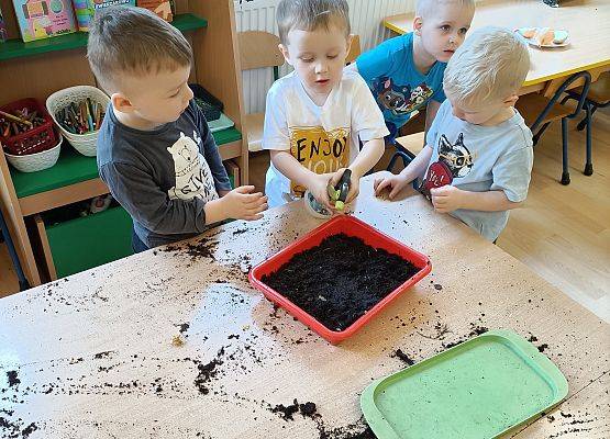 Chłopcy sieją kwiaty