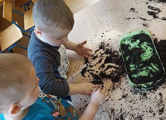 Chłopcy zbierają rozsypaną ziemię