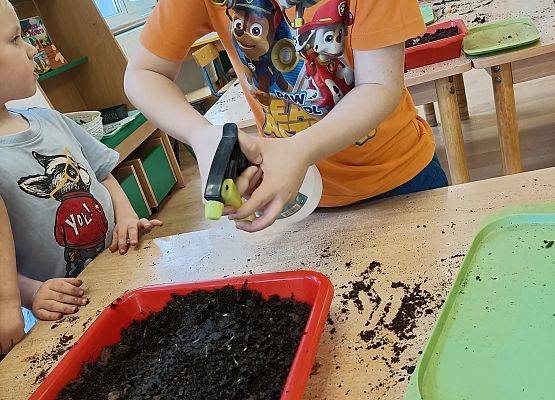 Chłopiec podlewa posiane kwiaty