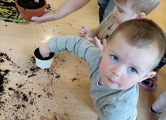 Grafika 10: Najmłodsza grupa przedszkolna tworzy swój ogród