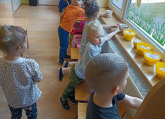 Dzieci obserwują, czy coś wyrasta w doniczkach