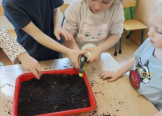 Dzieci podlewają nasiona