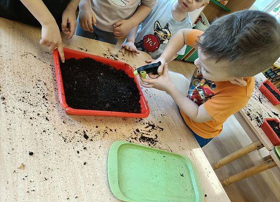 Dzieci podlewają posiane kwiaty