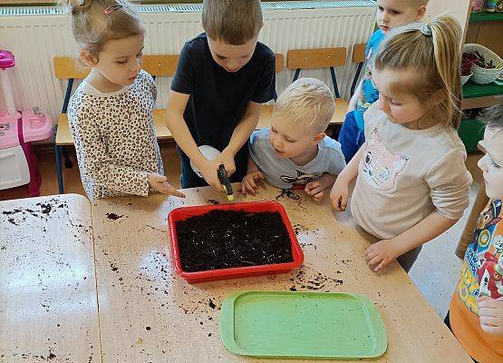 Dzieci sieją kwiaty