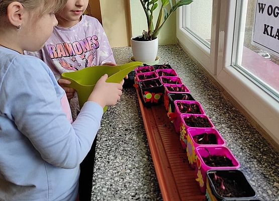 Uczennica podlewa sadzonki