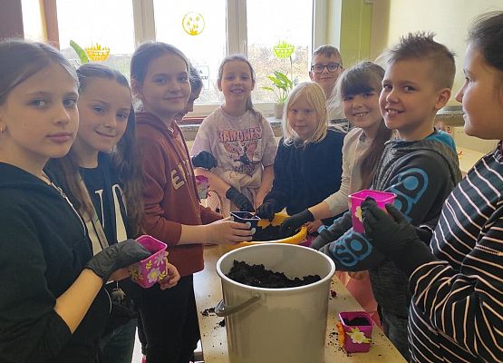 Uczniowie nasypują ziemię do doniczek