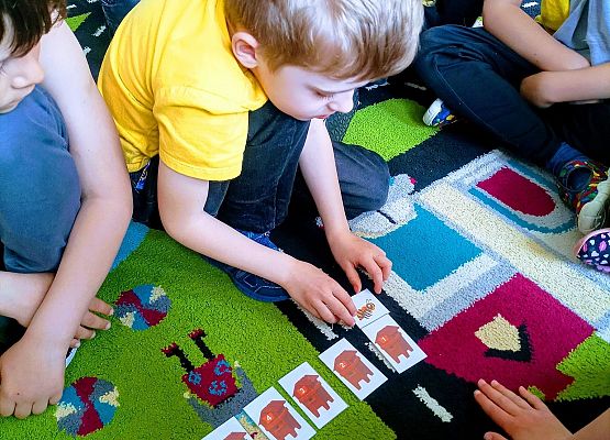 Chłopiec układa karty na dywanie