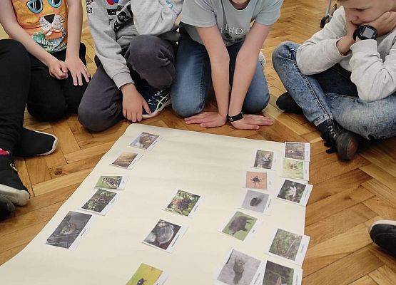 Uczniowie układają karty z drzewami