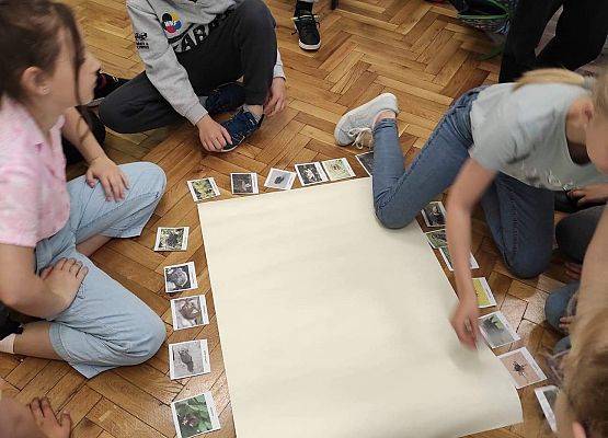 Uczniowie układają karty z drzewami