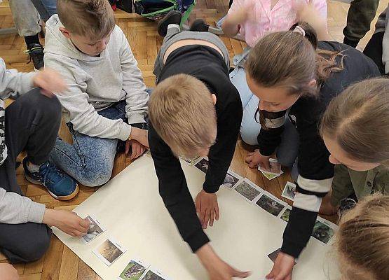 Uczniowie układają karty z drzewami