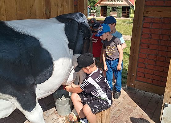 Chłopiec doi krowę