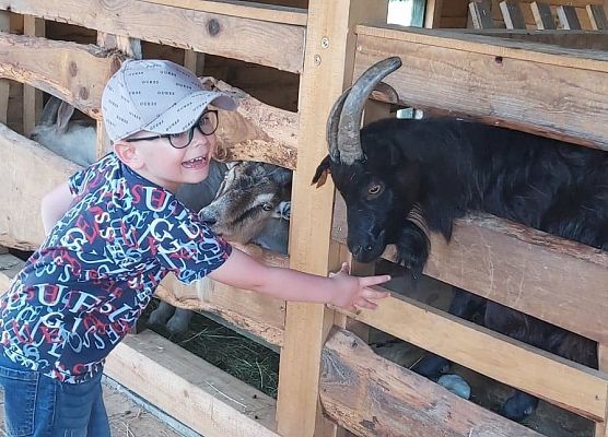 Chłopiec karmi k ozę