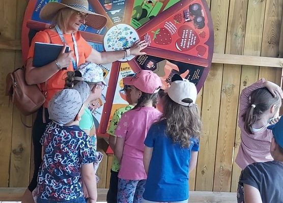 Dzieci karmią zwierzęta