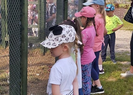 Dzieci oglądają zwierzęta