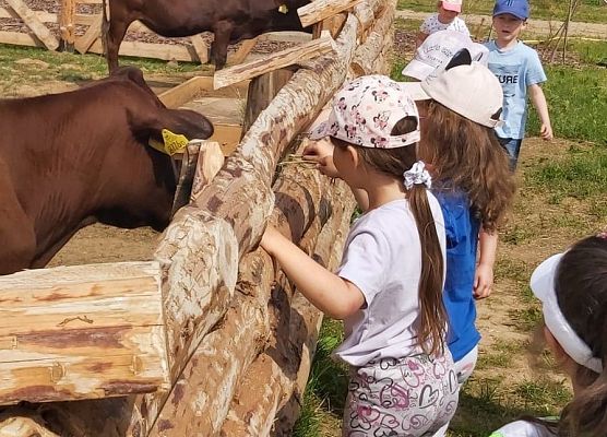 dzieci stoją przy zagrodzie ze zwierzętami