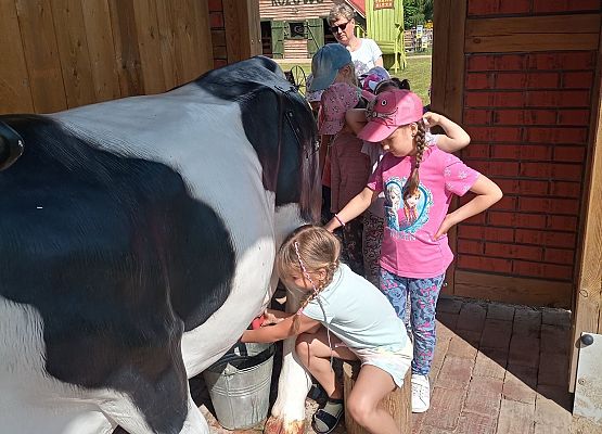Dziewczynka doi krowę
