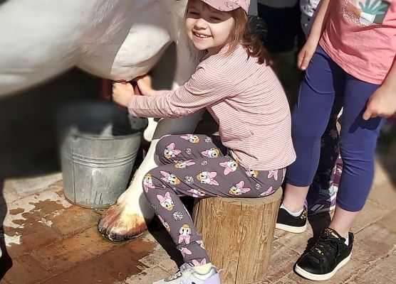 Dziewczynka doi krowę