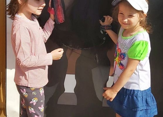 Dziewczynka czesze ogon konia