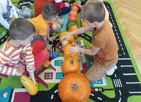 Dzieci klasyfikują dynie według wielkości