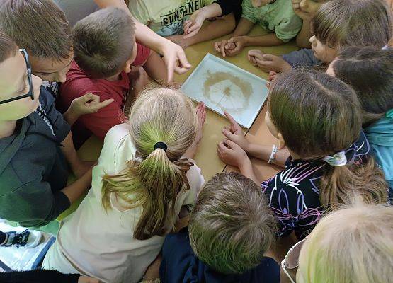 Dzieci wykonują eksperyment z wodą, mydłem i pieprzem