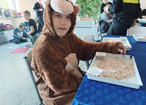 Chłopiec w stroju Misia segreguje groch i ryż