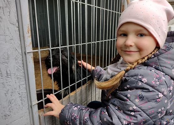 Dziewczynka głaszcze pieska w klatce