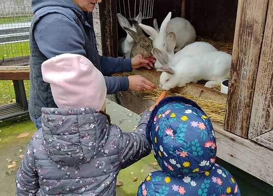 Opiekunka schroniska pokazuje dziewczynkom króliki