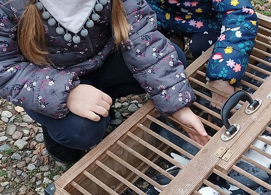 Dziewczynki oglądają gołębie