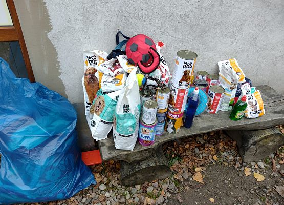 zebrane dary dla zwierząt