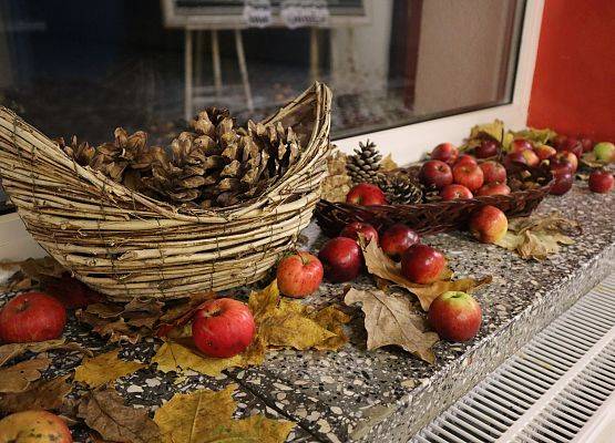 Grafika 43: JESIENNA SPIŻARNIA