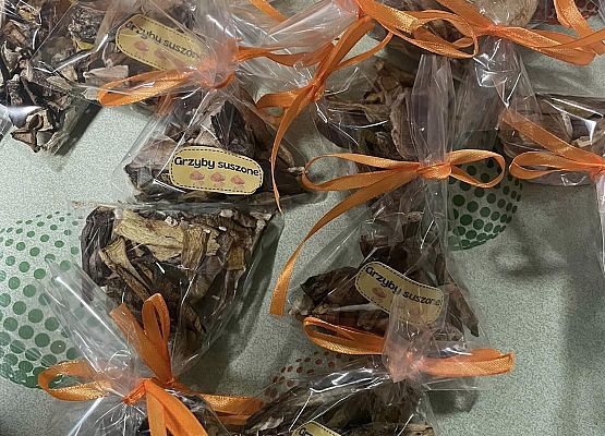 suszone grzyby