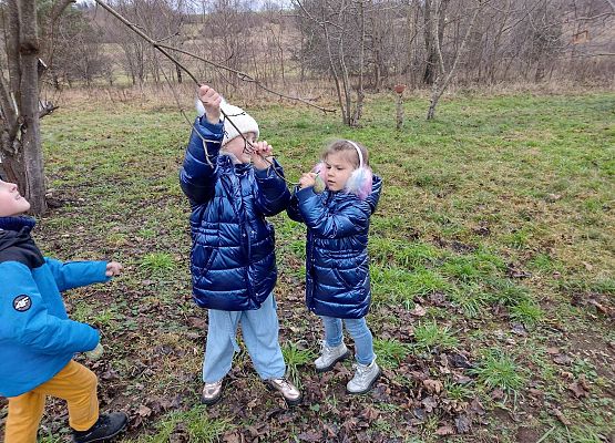 uczennice zawieszają na gałęzi pokarm dla ptaków