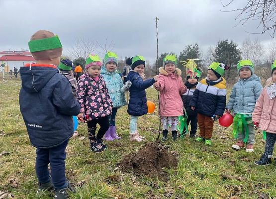dzieci oglądają posadzone drzewko
