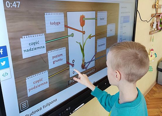 Uczeń pracuje na tablicy multimedialnej