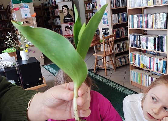 Uczennice przyglądają się roślinie