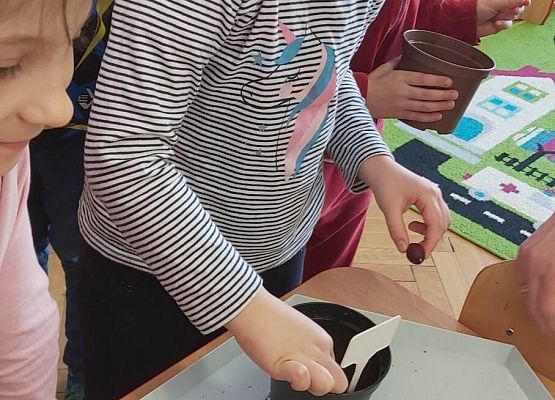 dzieci sadzą cebulki