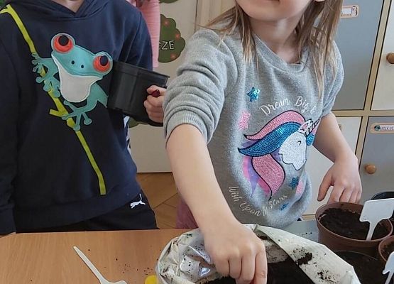 dziewczynka nabiera ziemię do doniczki