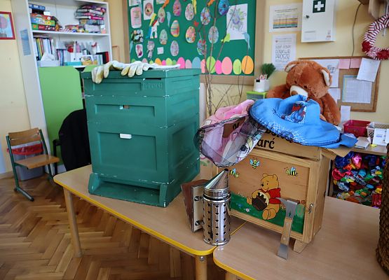 wystawa pszczelarska